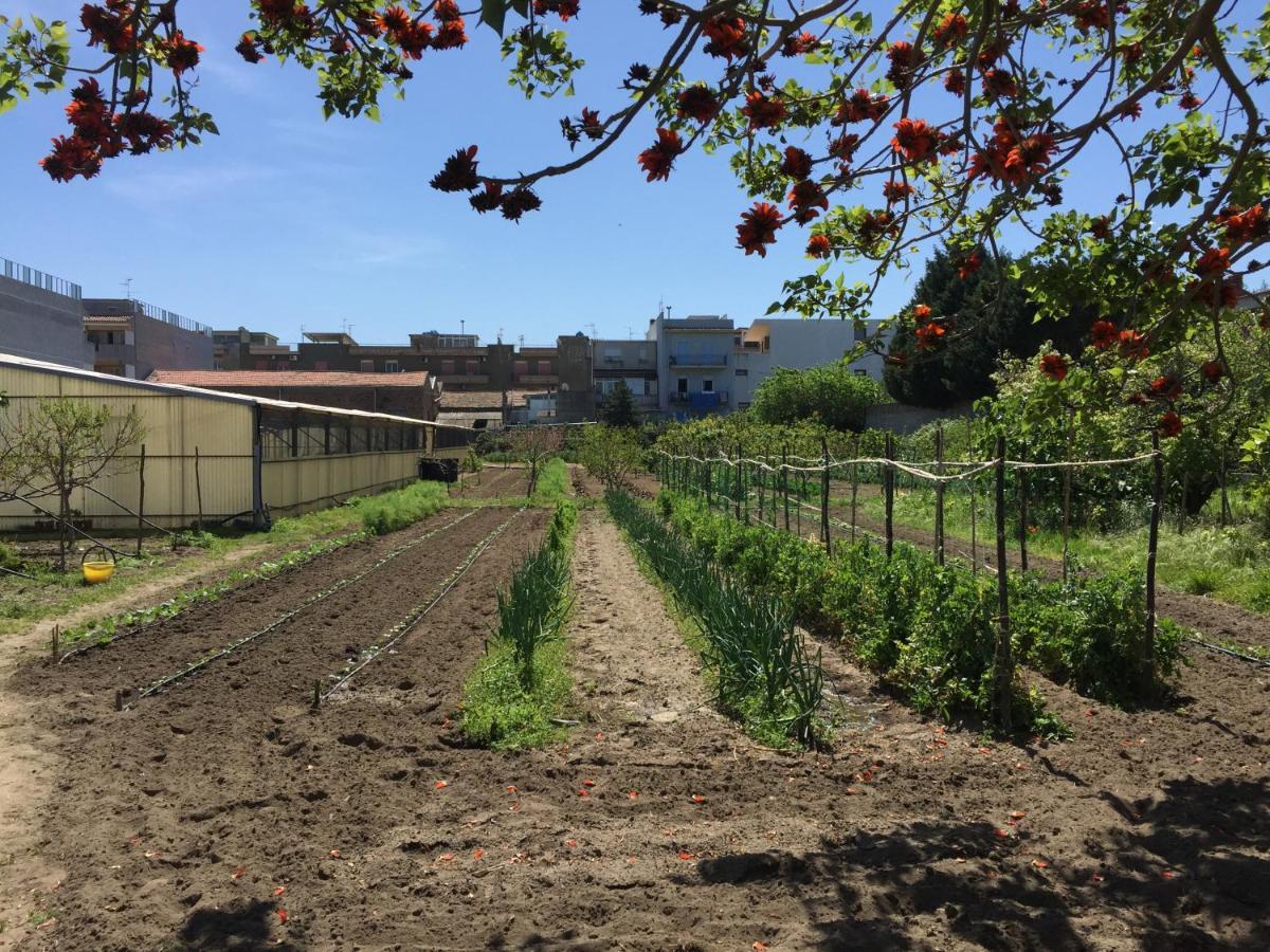 Ortosalato Agricamping 토레그로타 외부 사진